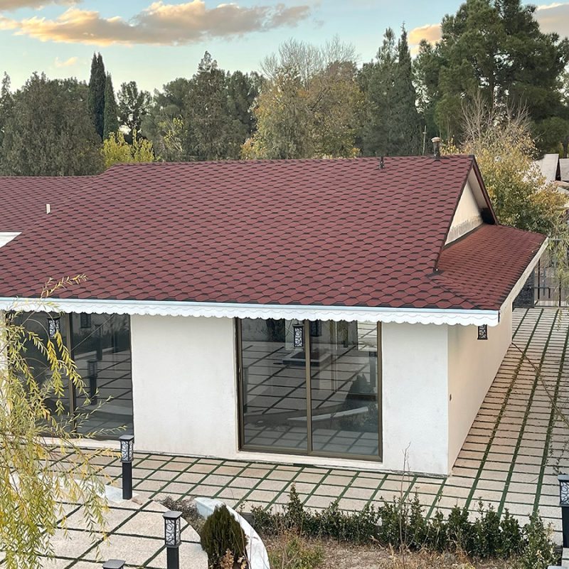 شینگل-لانه-زنبوری